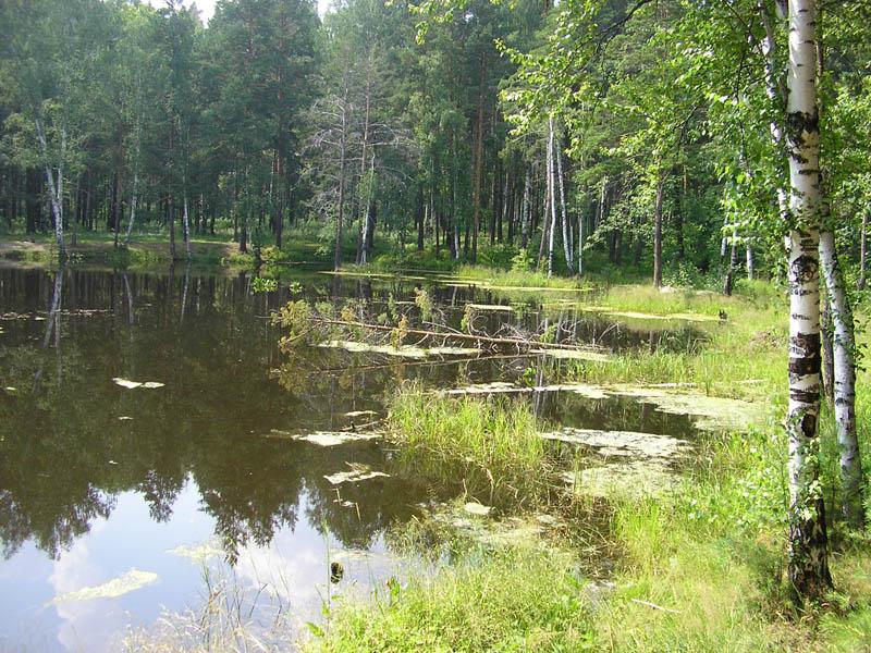 Фото лета.